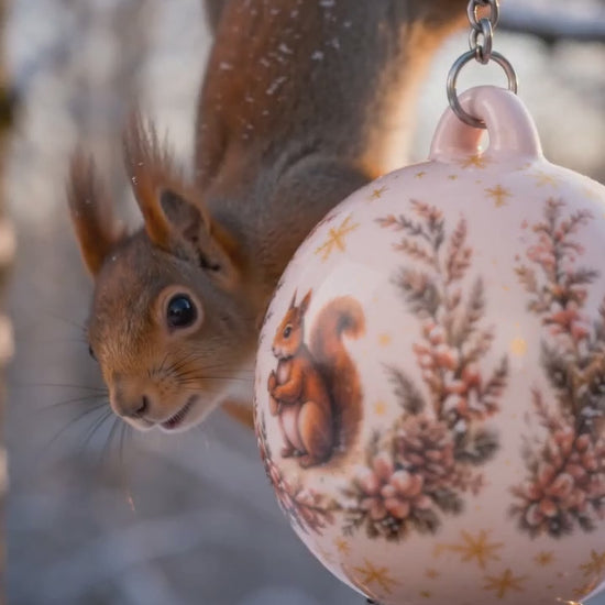 Premium Vogelfutterkugeln im Garten – Gartenvögel beim Fressen in natürlicher Umgebung